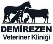 demirezen veteriner kliniği